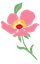 flower #2