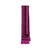Purple striped knit scarf with fringed ends displayed vertically.